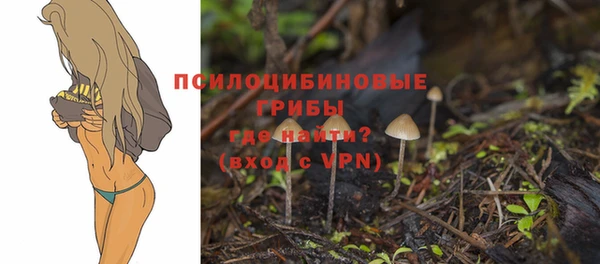 МДПВ Дмитриев