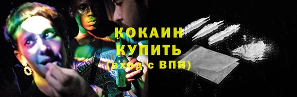 МДПВ Дмитриев