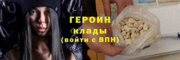 МДПВ Дмитриев