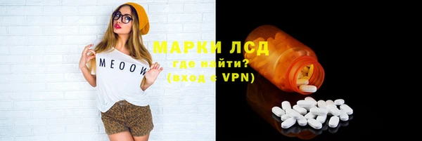 гидра Гусиноозёрск