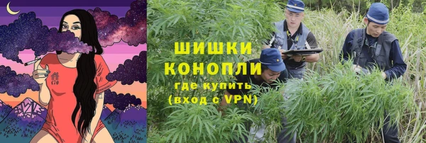 гидра Гусиноозёрск