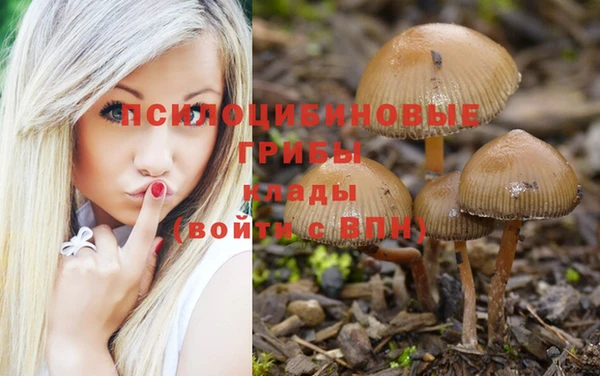 гидра Гусиноозёрск
