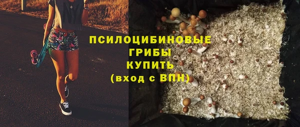 МДПВ Дмитриев