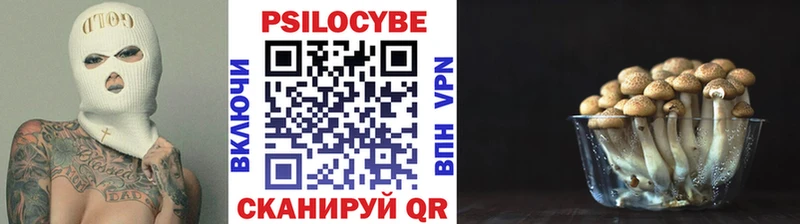 hydra ссылки  Гороховец  Галлюциногенные грибы Magic Shrooms 